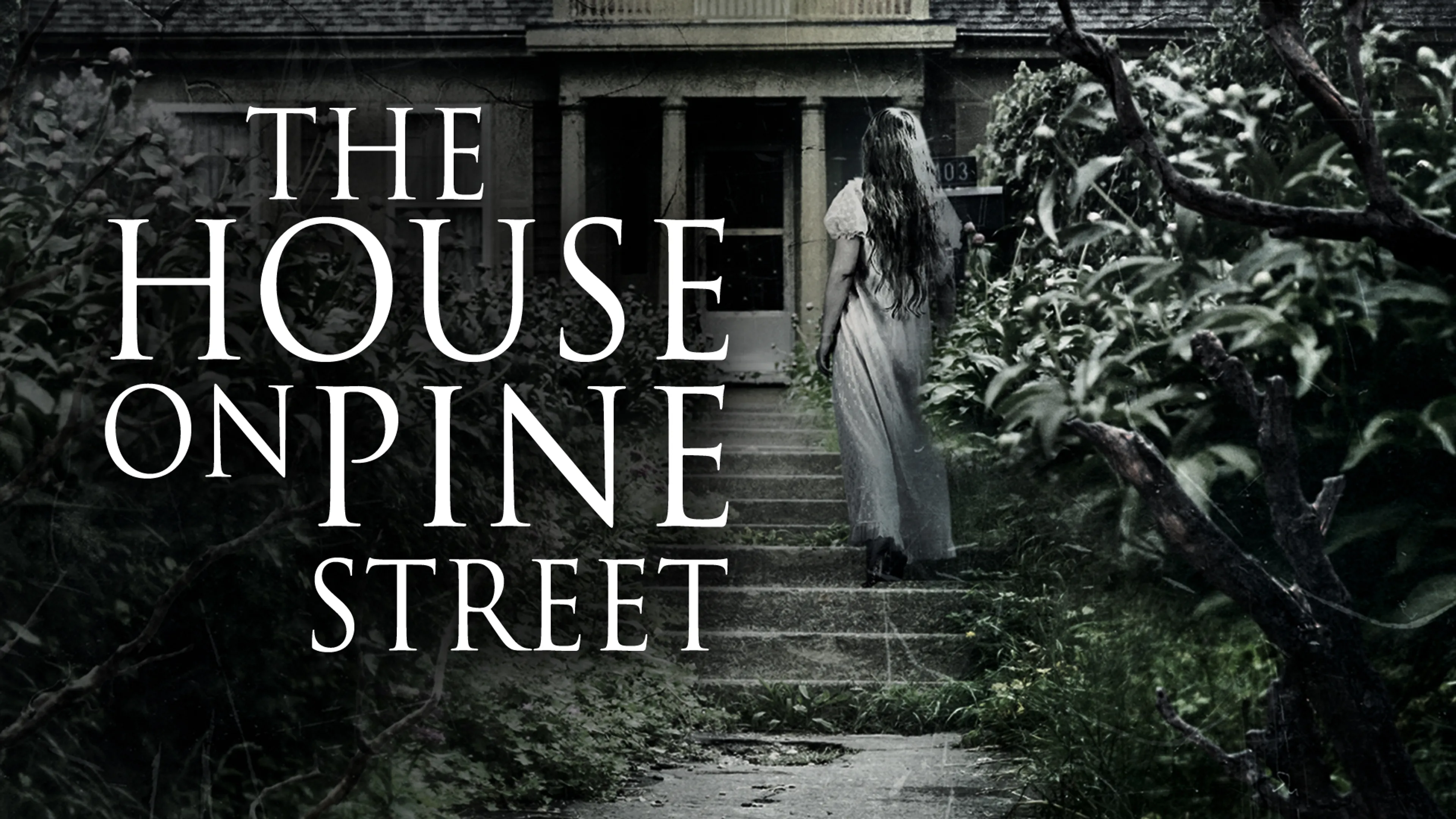 The House On Pine Street poster